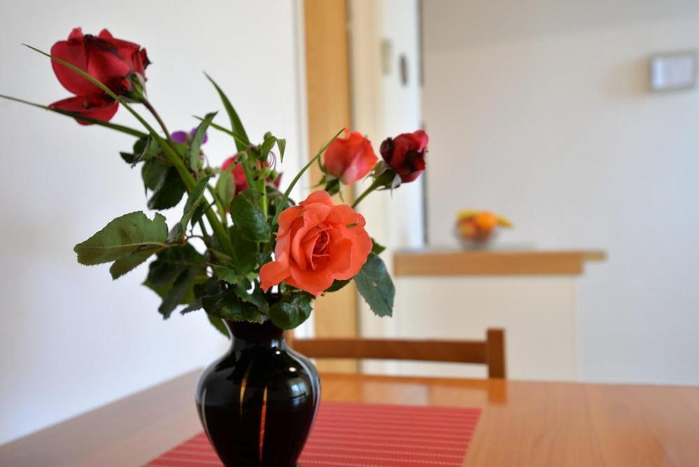 Apartments Viola Betina  Room photo